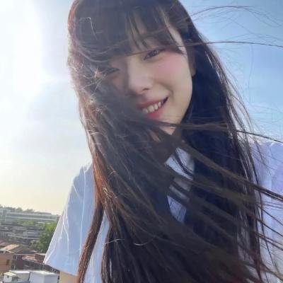 山菊